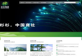 龍泉電腦綜合服務 網站開發、維修與數據安全保障