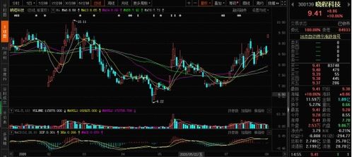 玉米高位運行 飼料行情起飛，計算機軟件板塊投資機遇顯現
